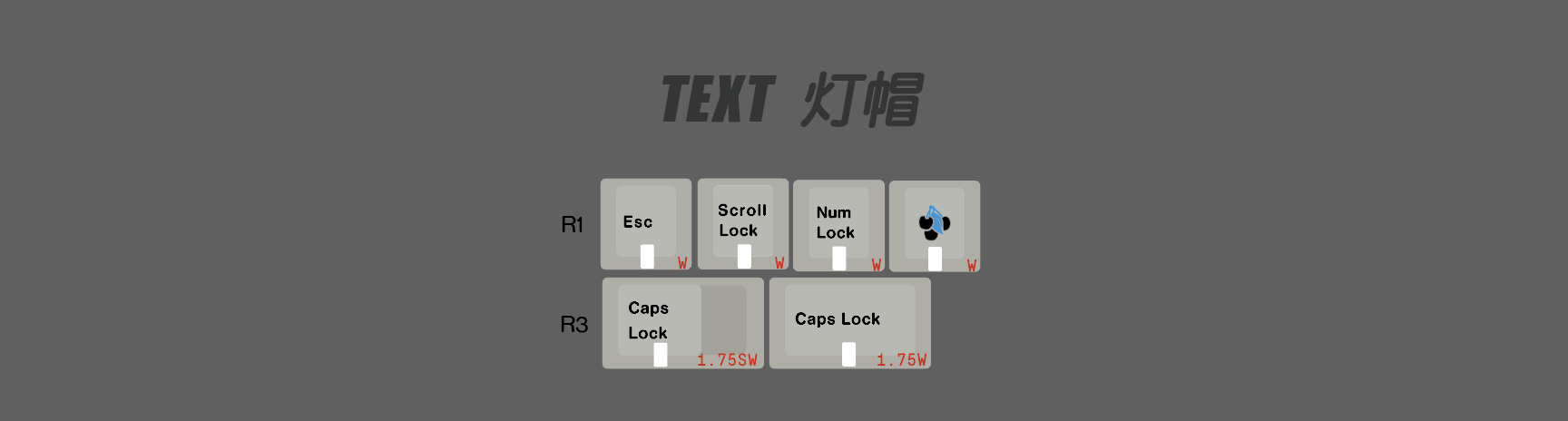 TEXT灯帽.png